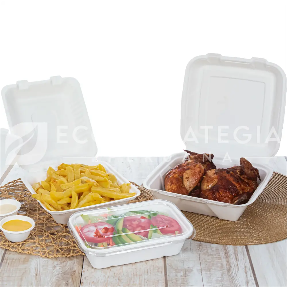 Envases biodegradables hechos con bagazo de caña de azúcar, ideales para tapas y cajas ecológicas
