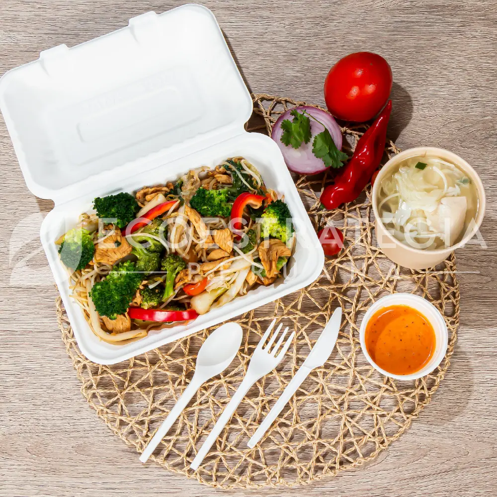 Envases compostables de fibra de caña, perfectos para comida para llevar y packaging ecológico