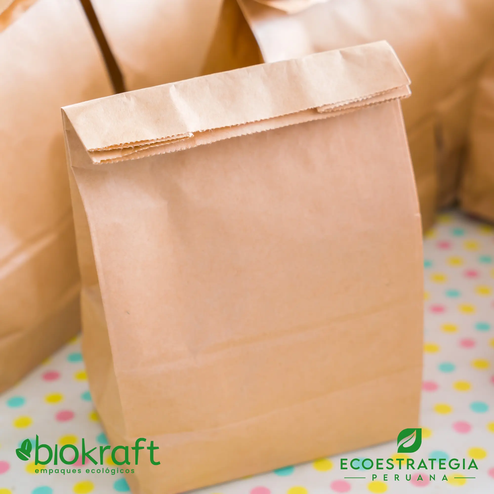  Bolsa kraft resistente y ecológica para transportar alimentos de forma responsable