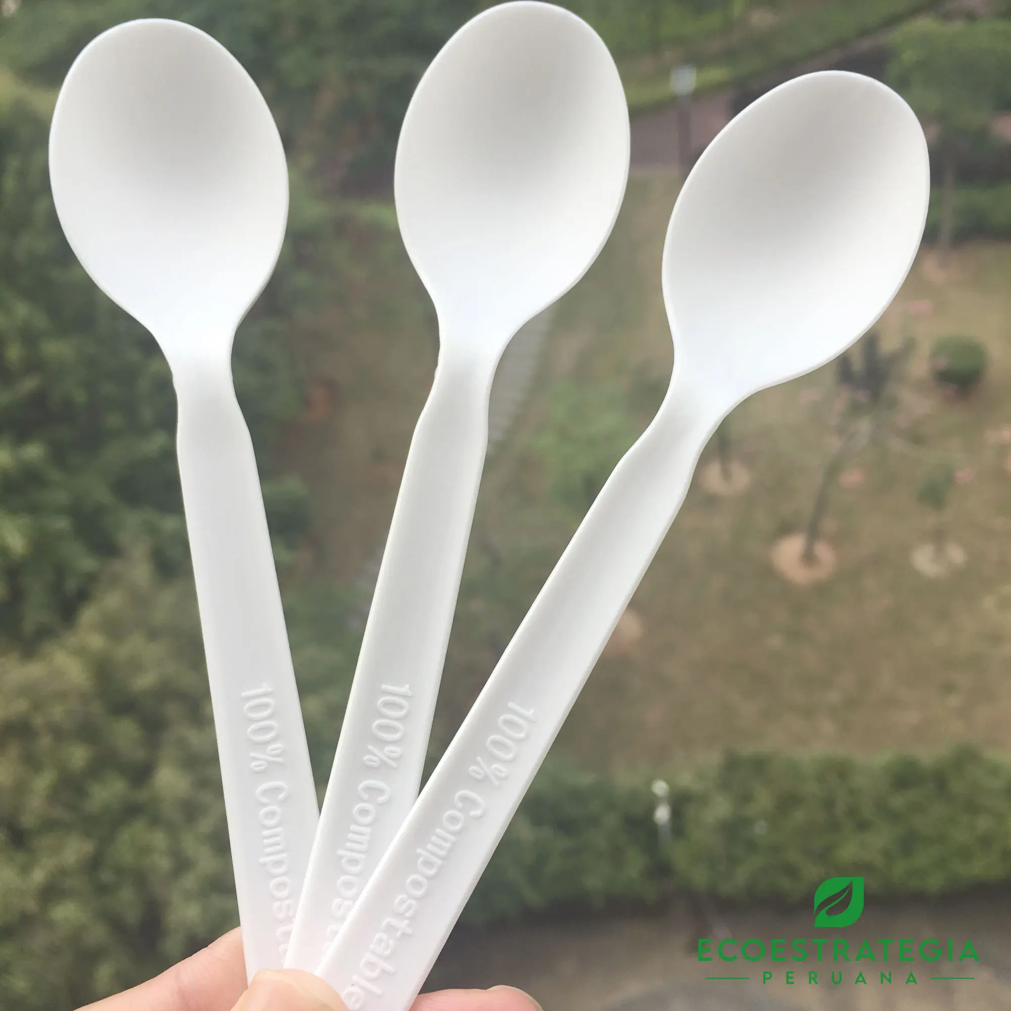 Imagen de cuchara desechable biodegradable. Producto de 15cm de largo, hecho con fécula de maíz