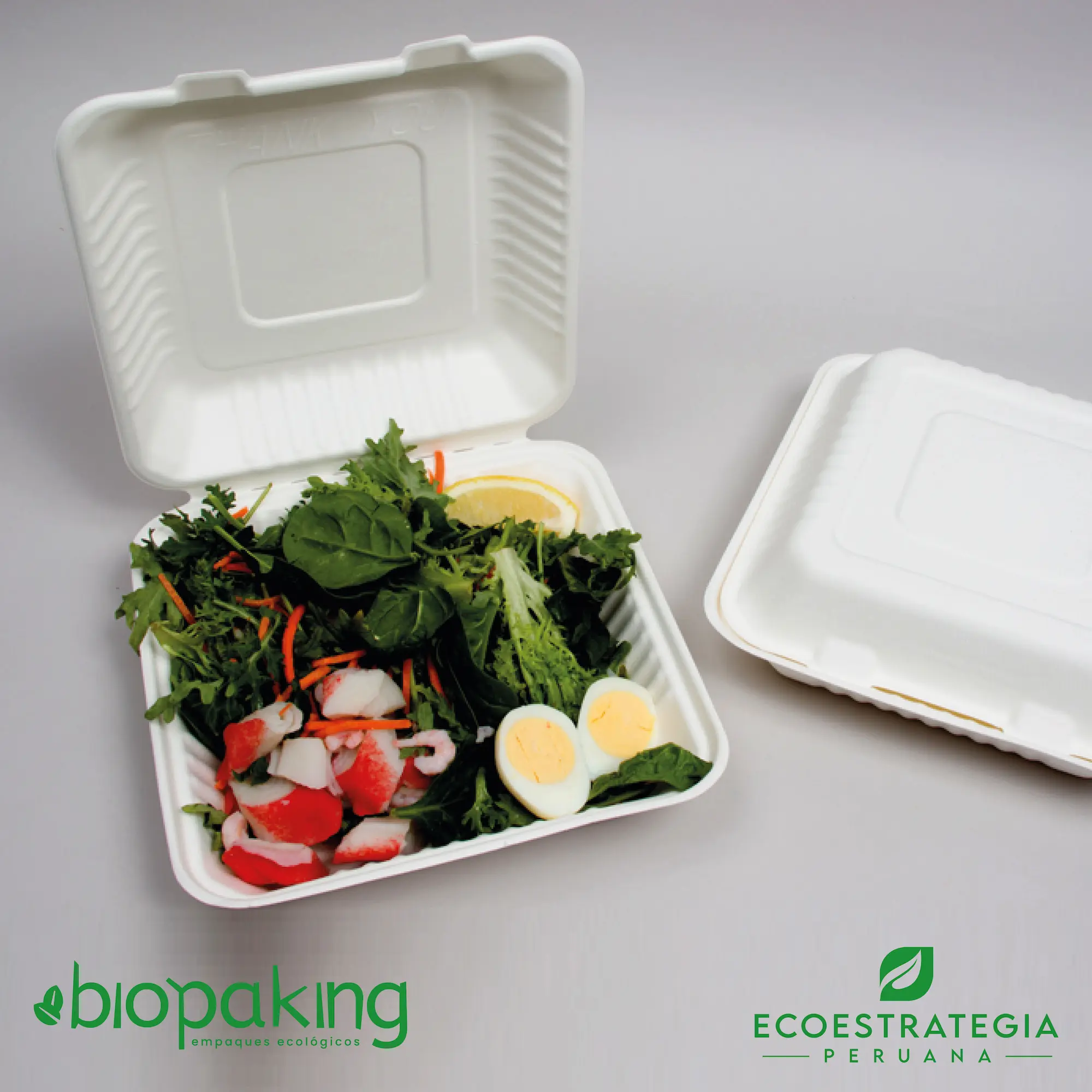 Envase biodegradable CT1 para snacks y ensaladas en restaurantes, elaborado con fibra de caña y compostable.