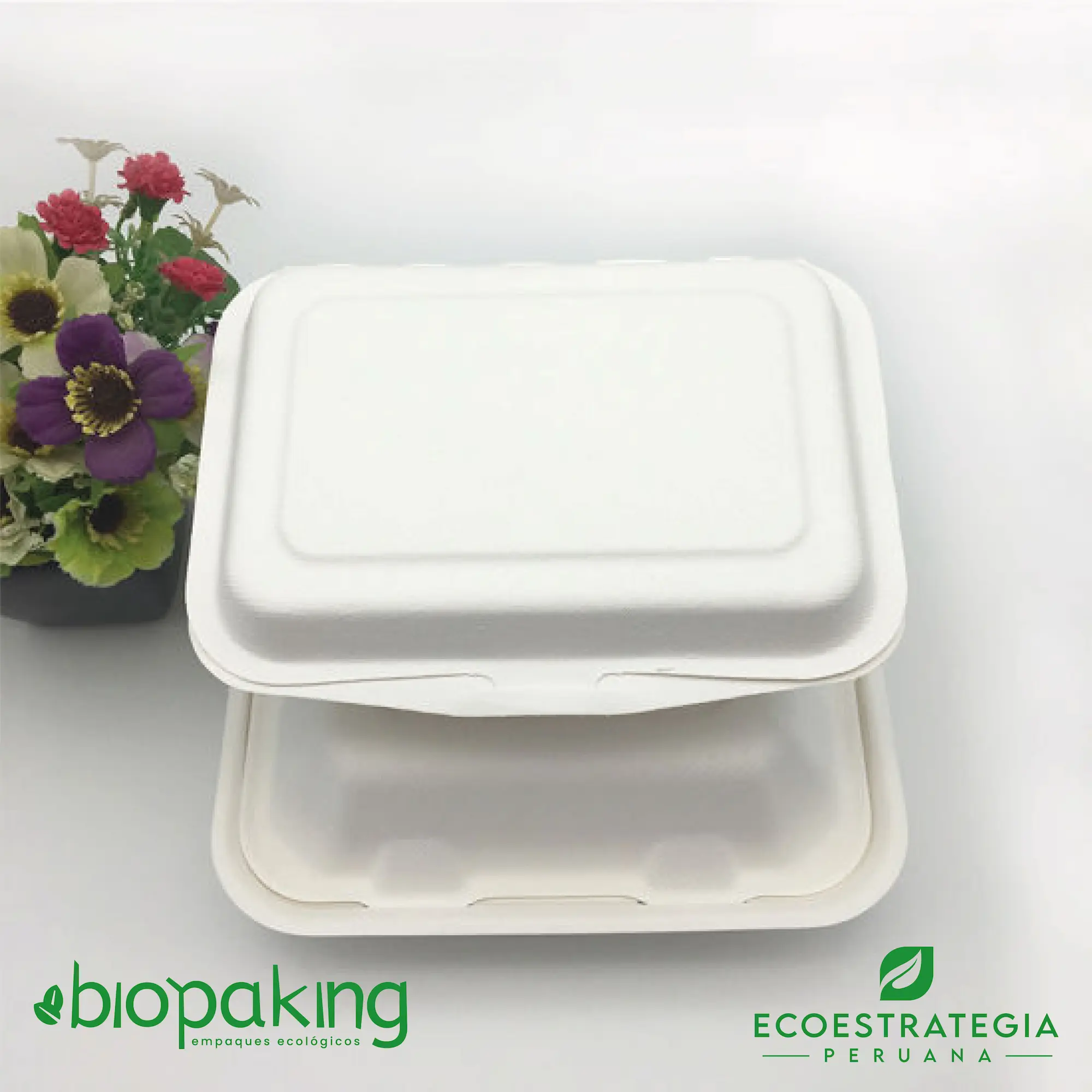 Envase compostable CT7, fabricado con materiales naturales, perfecto para snacks saludables y ensaladas en porciones individuales.