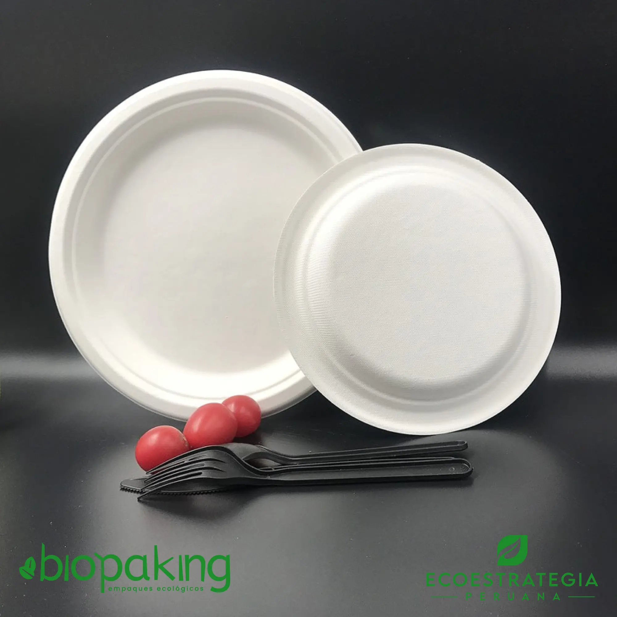 Plato ecológico de 15 cm elaborado con bagazo de caña, resistente y compostable para alimentos