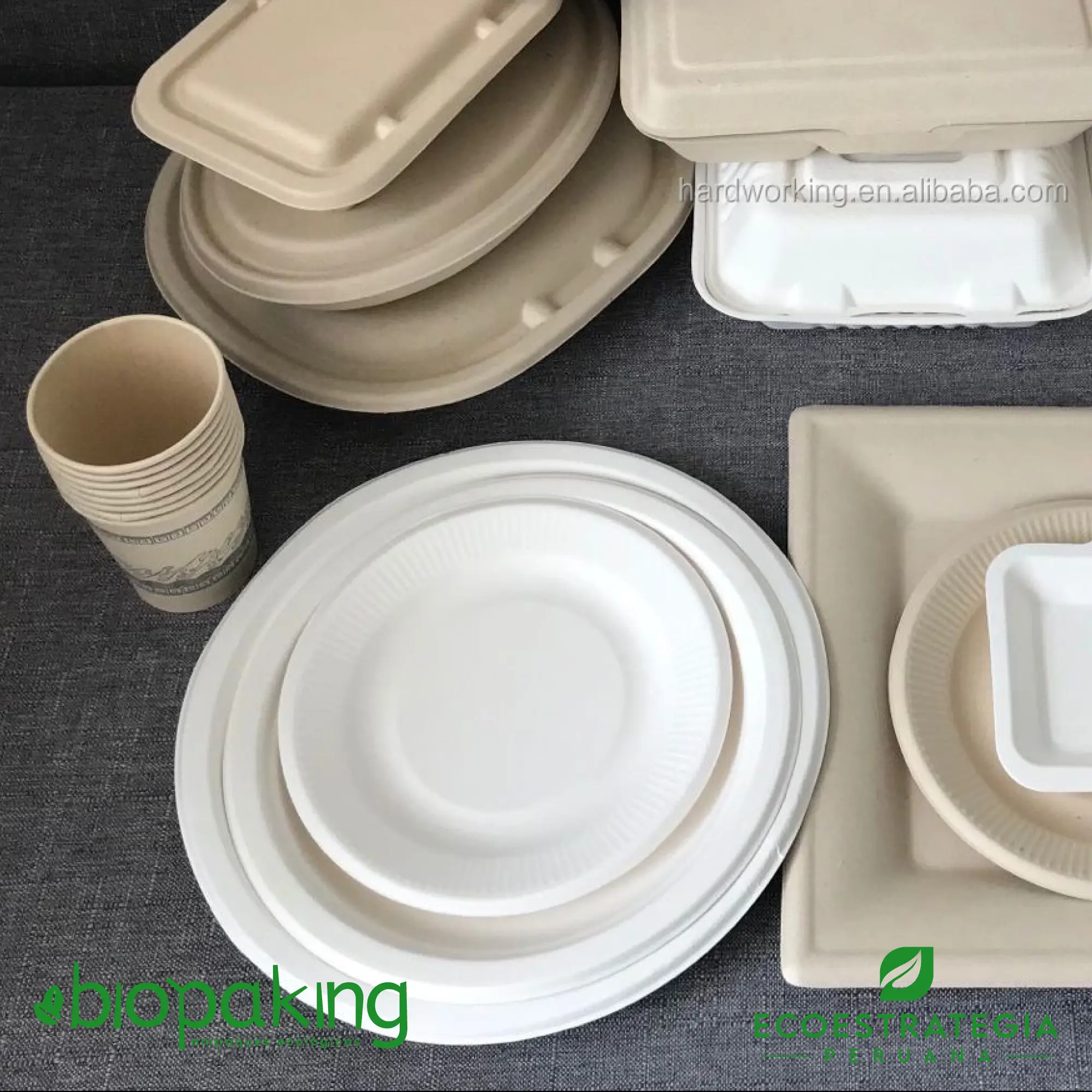 Plato grande de 26 cm, ecológico, ideal para restaurantes, eventos y servicios de delivery responsable.